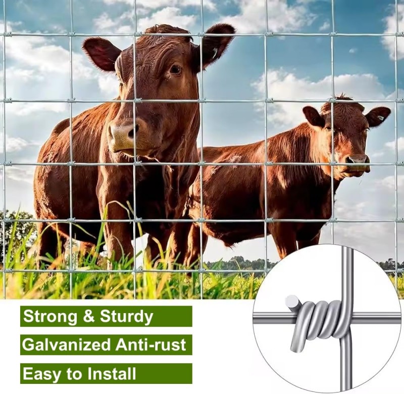 Cattle Farm Fence Mesh