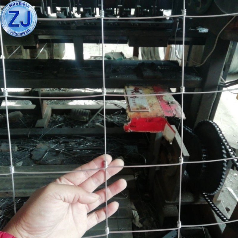 Cattle Farm Fence Mesh