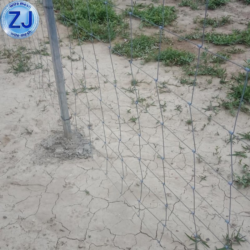Cattle Farm Fence Mesh