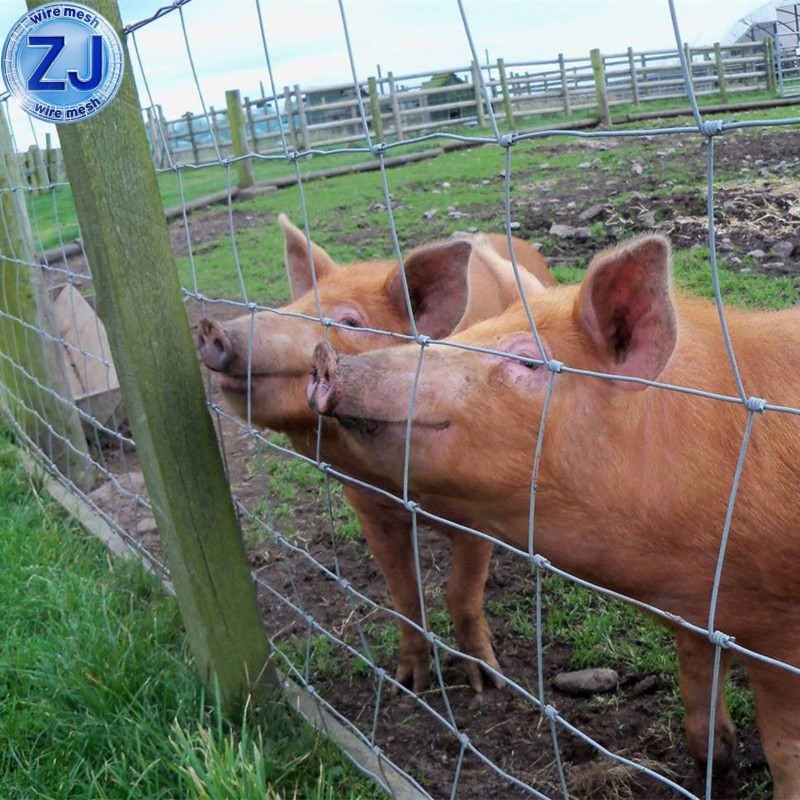 Cattle Farm Fence Mesh