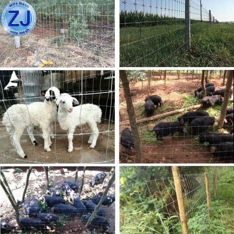 Cattle Farm Fence Mesh