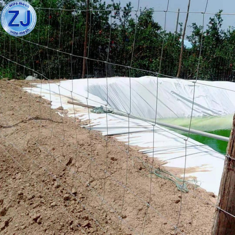 Cattle Farm Fence Mesh