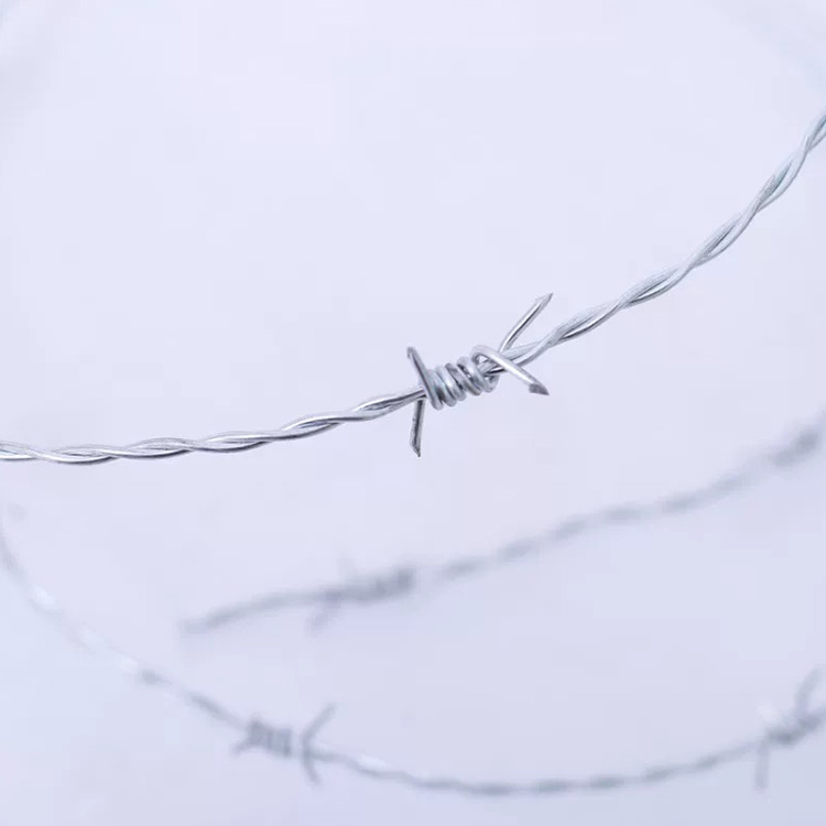 Barbed Wire